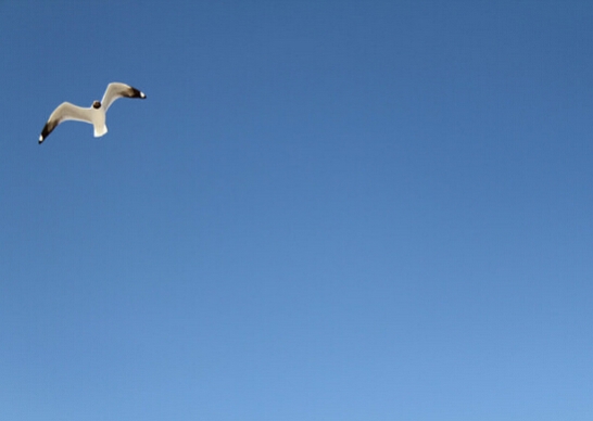 《欣裕華線纜》—— 2015誠信客戶交流會圓滿成功！